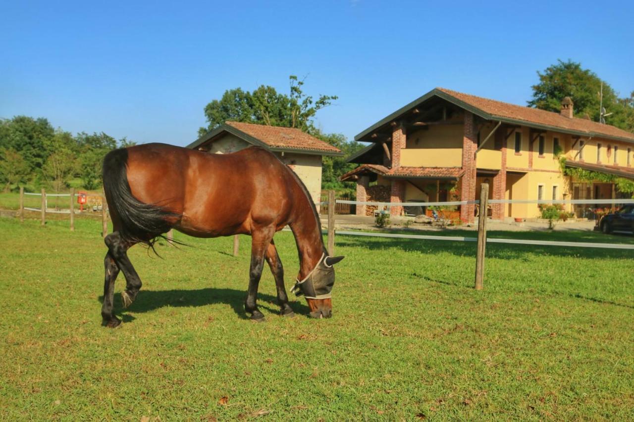 Agriturismo Helianthus Oleggio Exteriér fotografie