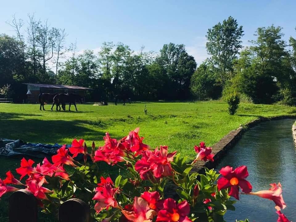 Agriturismo Helianthus Oleggio Exteriér fotografie