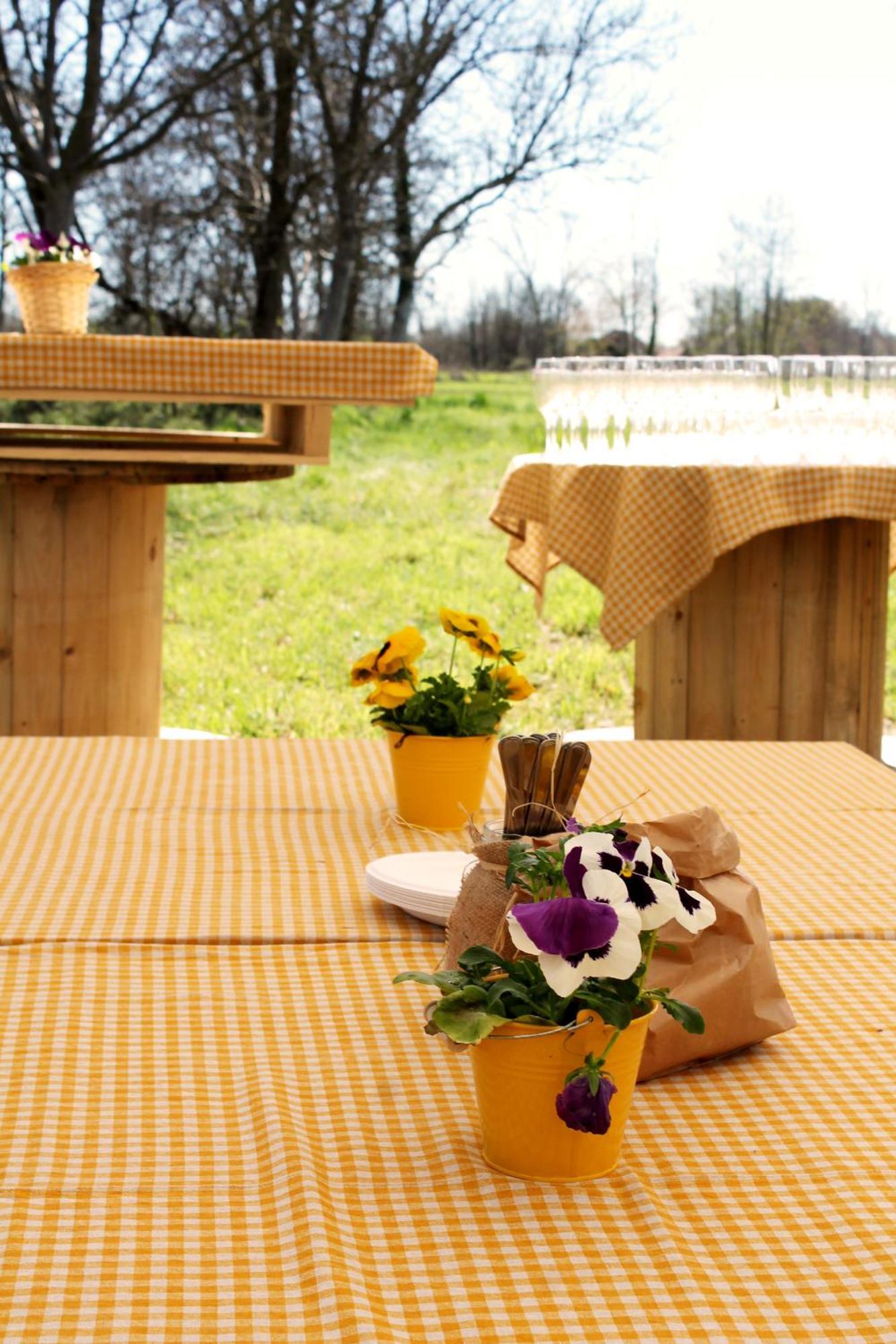 Agriturismo Helianthus Oleggio Exteriér fotografie