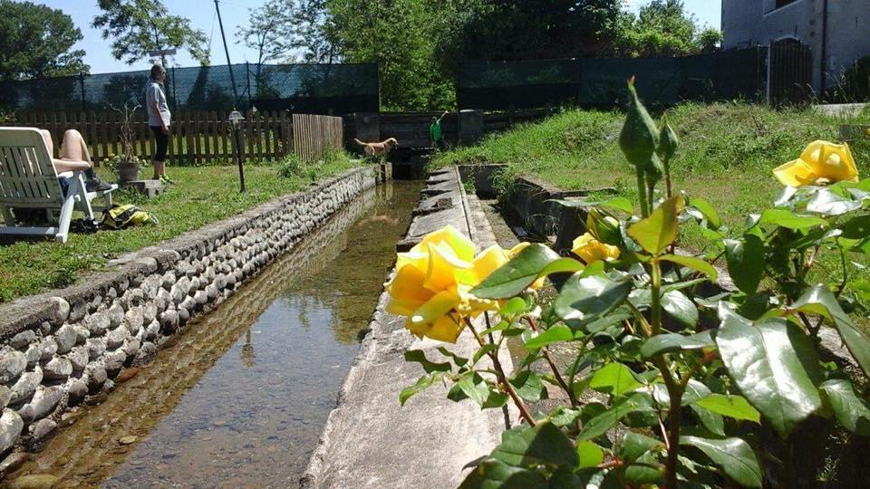 Agriturismo Helianthus Oleggio Exteriér fotografie